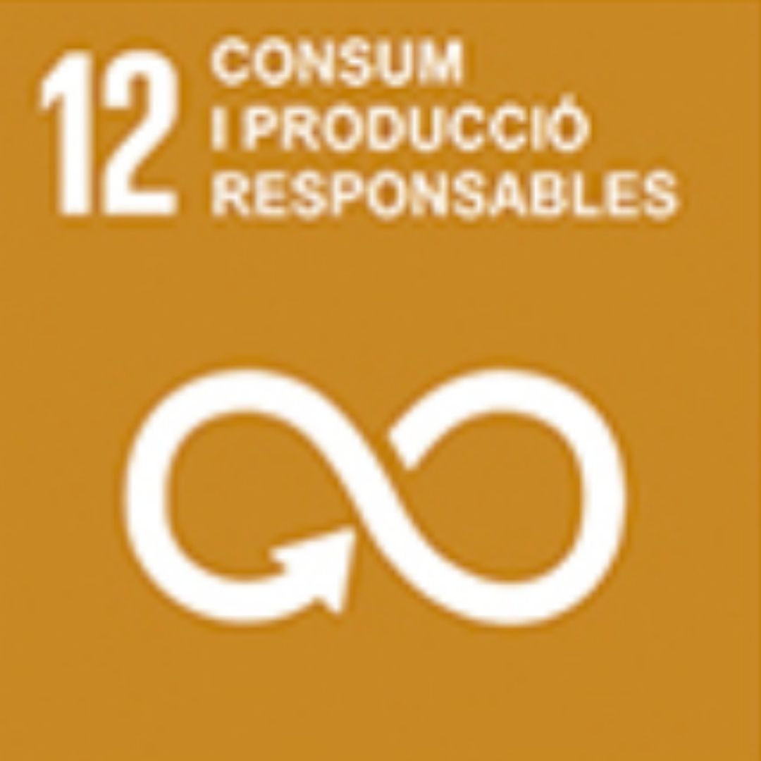 ODS 12 Consum i producció responsables